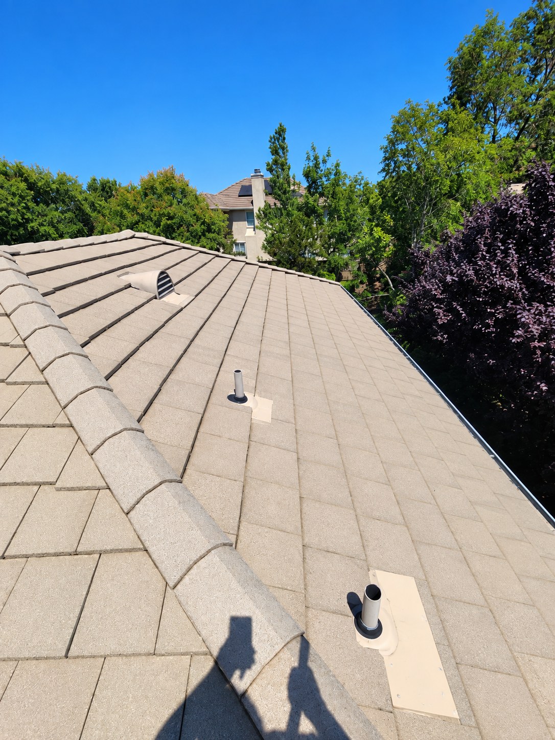 Concrete tile roof with cleaned sections